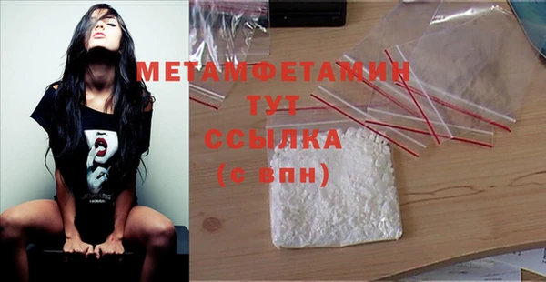 PSILOCYBIN Няндома