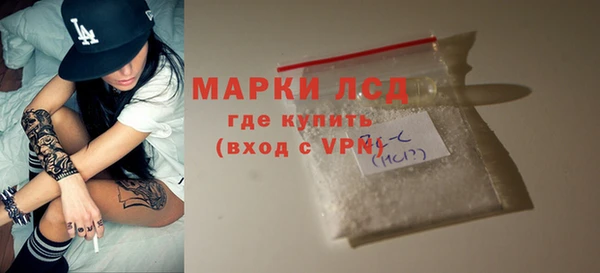 PSILOCYBIN Няндома
