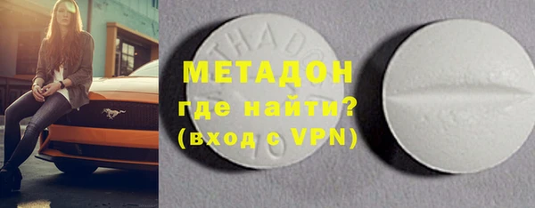 сатива Новозыбков
