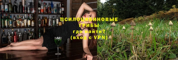 дмт Осинники