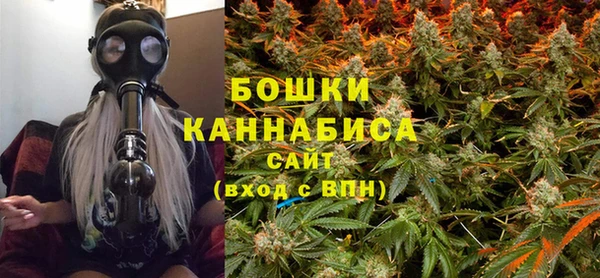 дмт Осинники