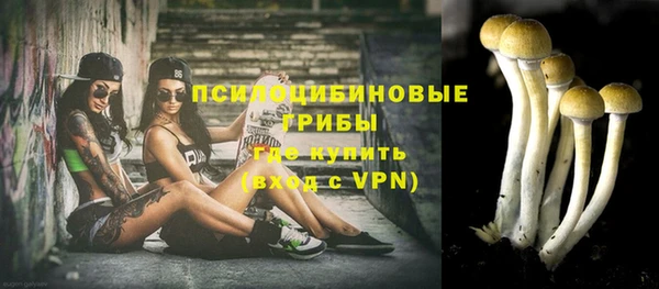 дмт Осинники