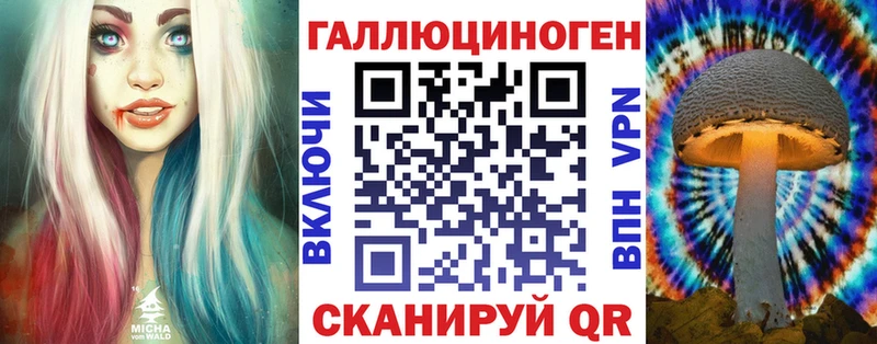 Псилоцибиновые грибы Cubensis  Купить  Ярославль 